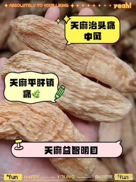 天麻要种多久才能收？天麻要种多久才能收获？