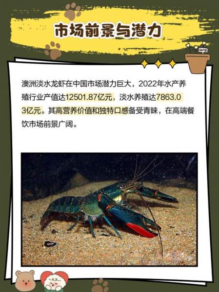 淡水龙虾养殖方法和环境,养殖淡水龙虾应该注意哪些问题?