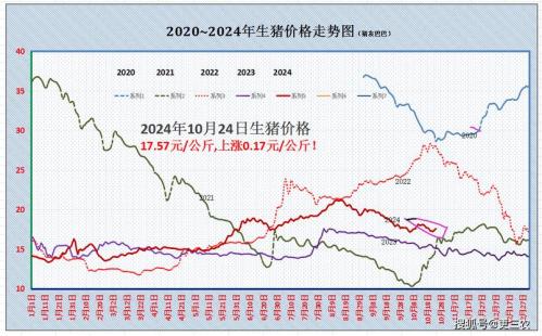 最近一个月猪价走势,未来一个月猪价走势