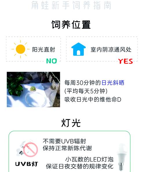 养青蛙怎么养殖技术