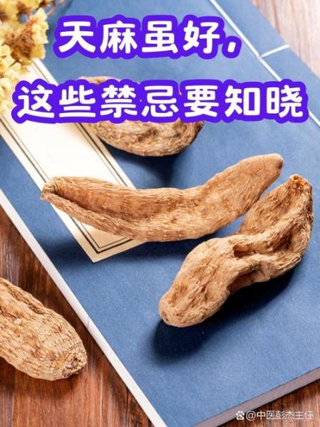 天麻种子种植全套完整流程?,天麻种植条件及技术要点?