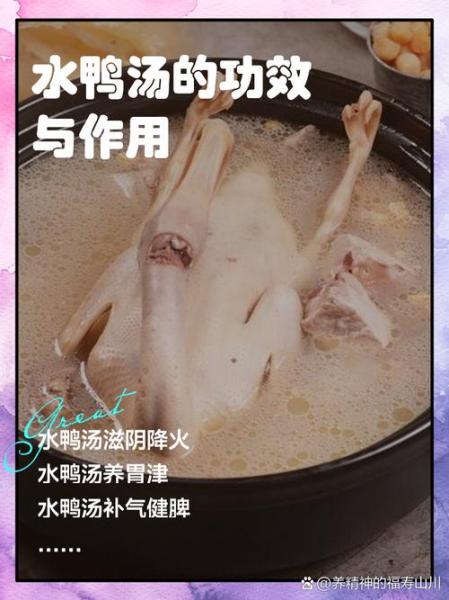 洋鸭怎么炖最嫩最好吃,洋鸭怎么炖才好吃