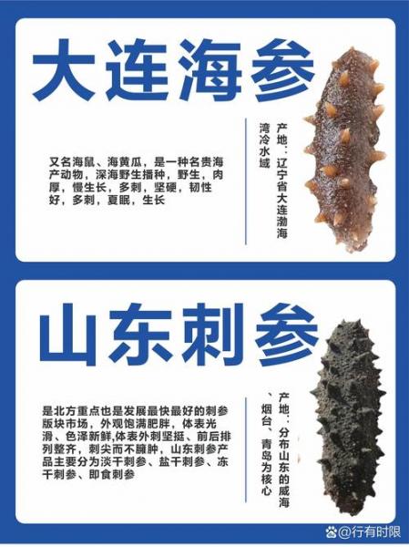 海参价格怎么区分?海参价格高低的区别?