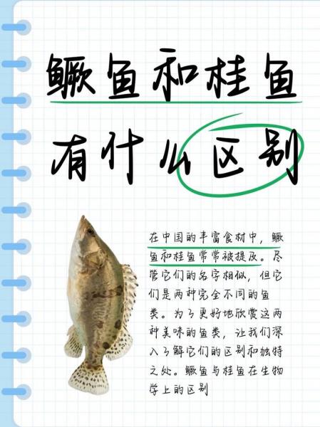 桂鱼养殖技术与养殖方法?桂鱼养殖条件和成本?