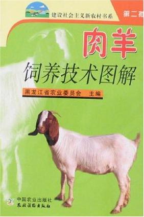 肉羊养殖实施技术有哪些?肉羊的饲养管理技术?