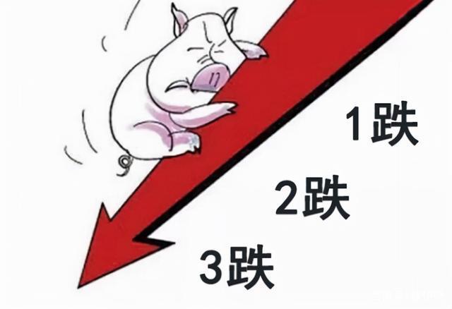 猪肉跌价预示着什么，猪肉跌价预示着什么问题？