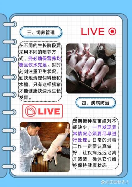 特种养殖最新消息2020,特种养殖最新政策