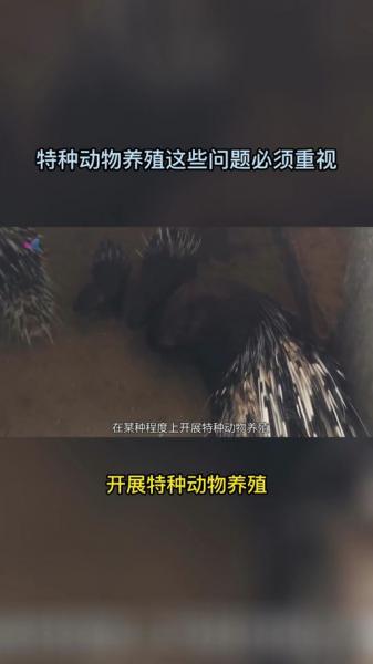 特种养殖最新消息2020,特种养殖最新政策