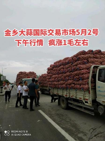 金乡大蒜价格补贴每亩多少,金乡大蒜产值
