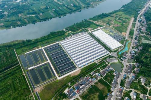 贵州最大鲟鱼养殖基地?贵州惠水鲟鱼养殖基地?