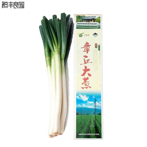 今年大葱价格如何,今年大葱价格如何走势?