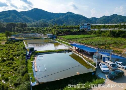 甲鱼外塘养殖池多大最好?养殖甲鱼对外塘的要求视频?