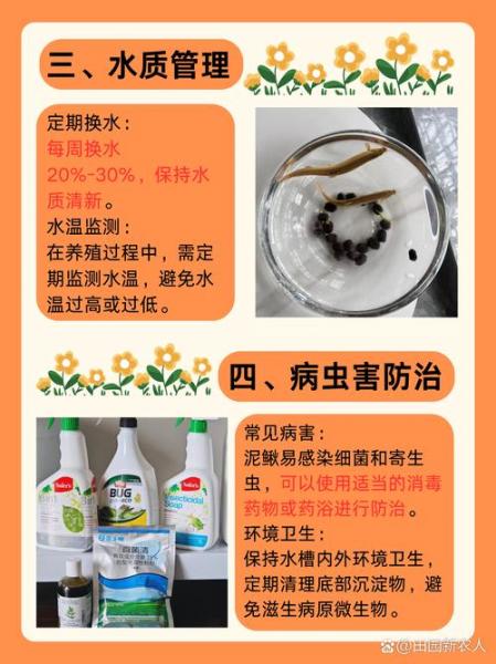 养殖泥鳅和黄鳝哪个效益好,泥鳅黄鳝养殖技术?